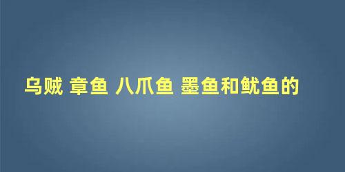 乌贼 章鱼 八爪鱼 墨鱼和鱿鱼的区别